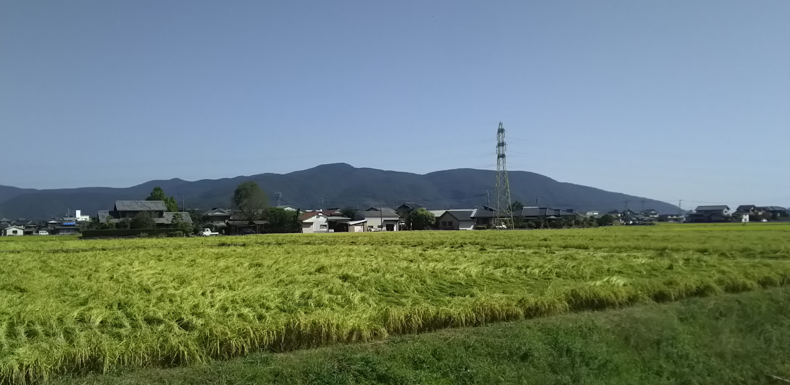 佐賀県嬉野市塩田町付近_オオクワガタの多産地 2021年10月3日10時30分頃